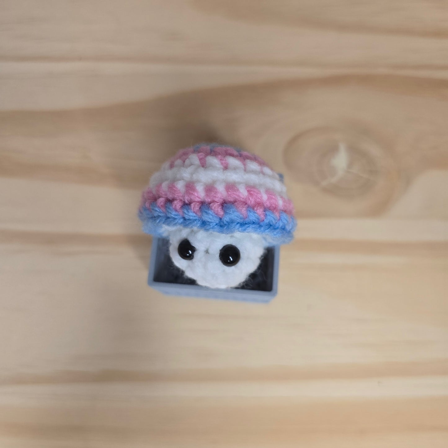 Mini Pride Mushroom Pop