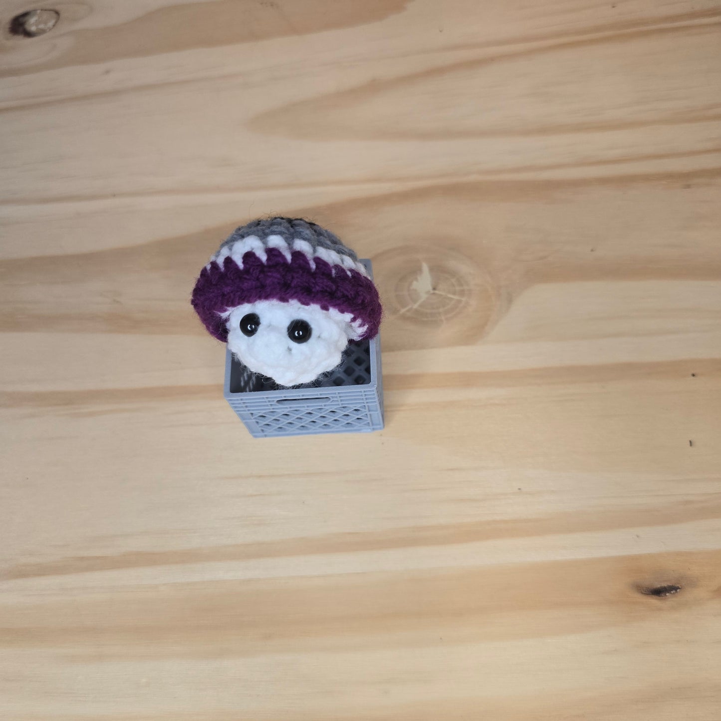 Mini Pride Mushroom Pop
