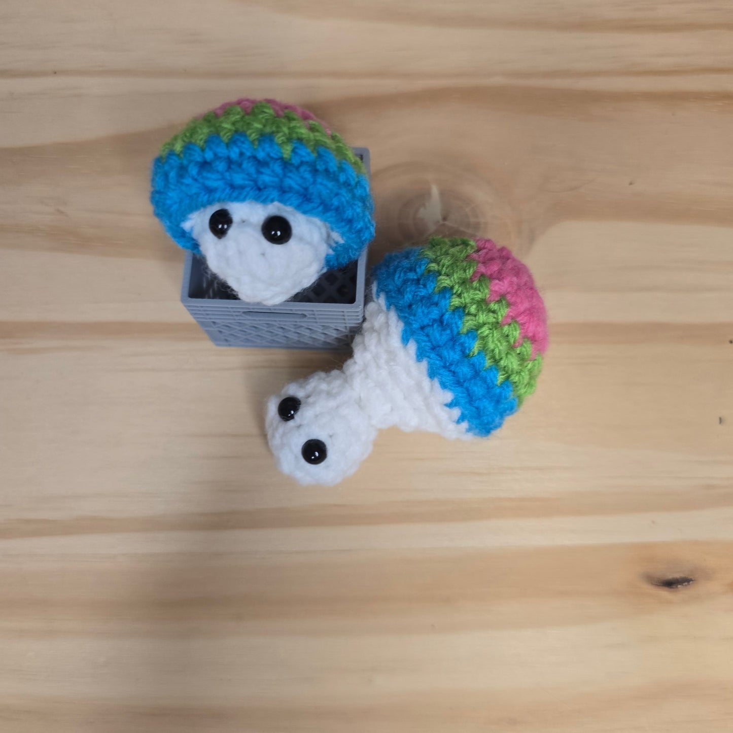 Mini Pride Mushroom Pop