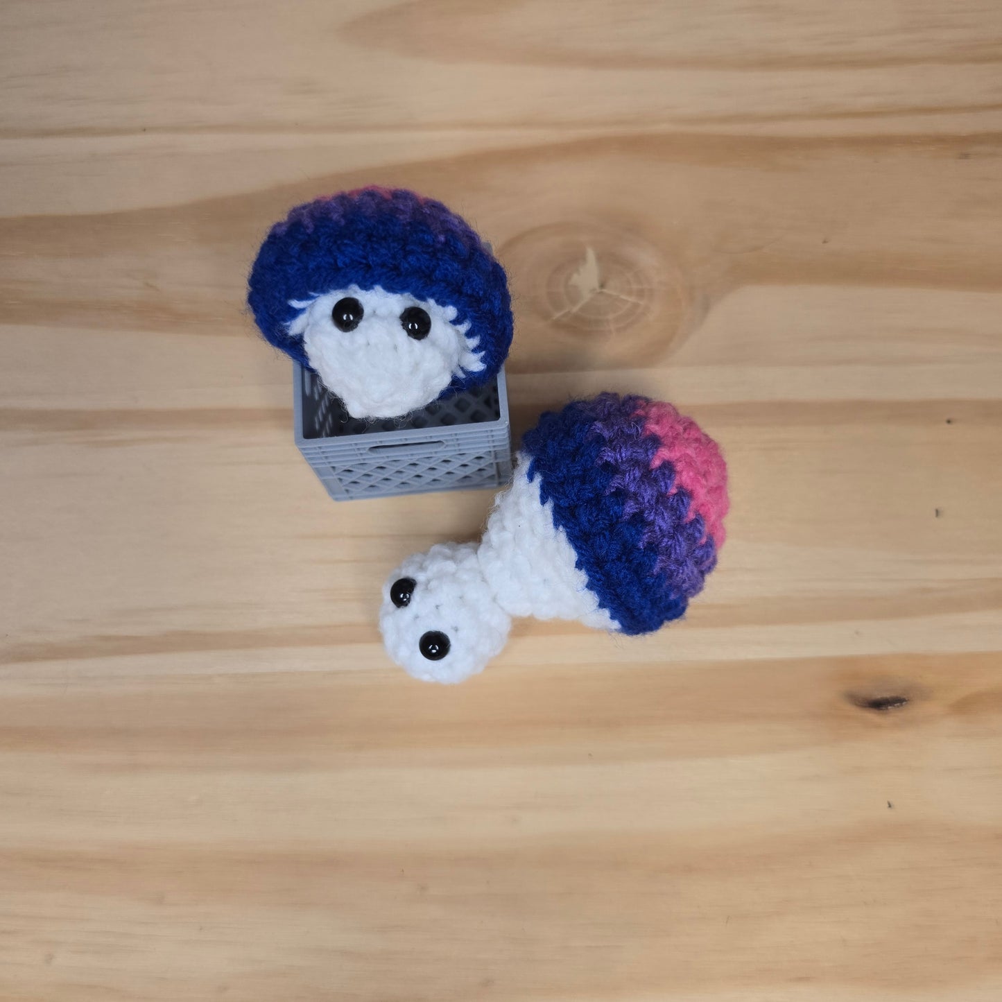 Mini Pride Mushroom Pop