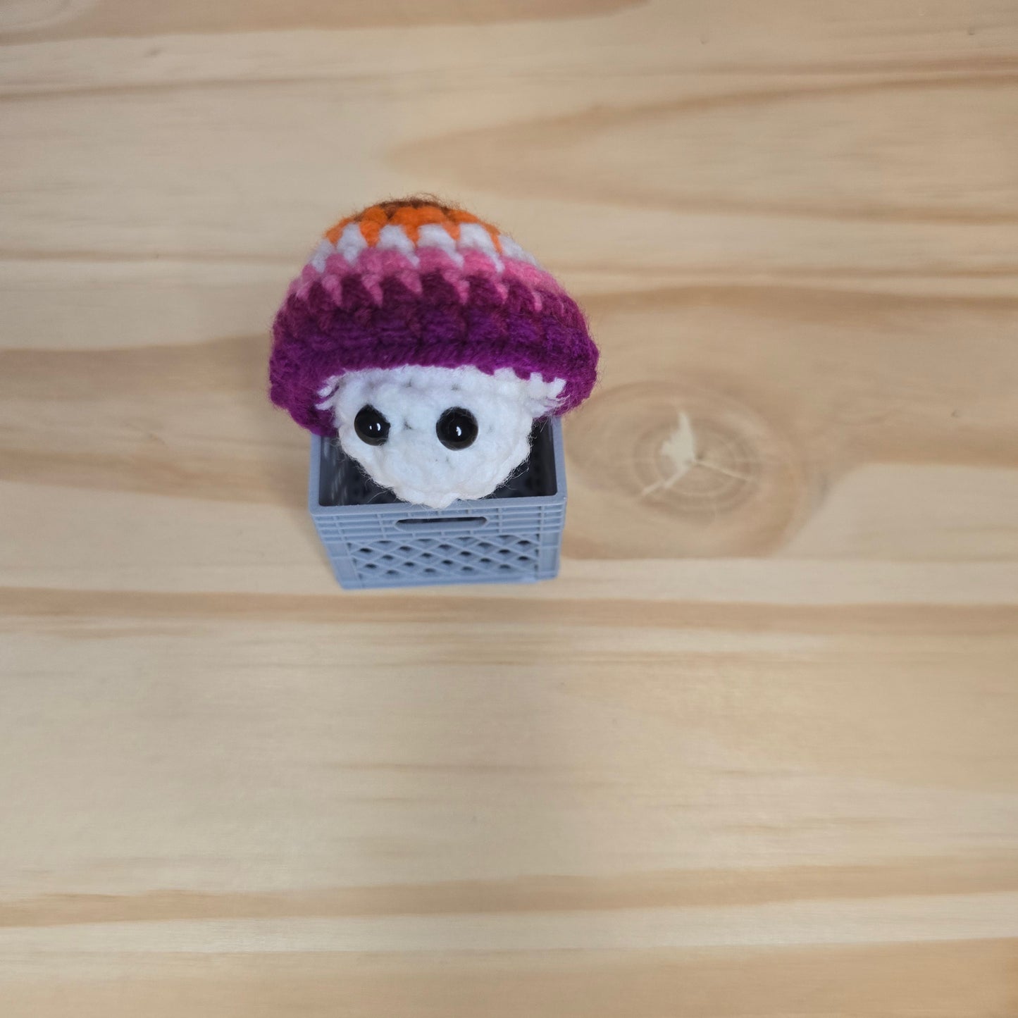 Mini Pride Mushroom Pop
