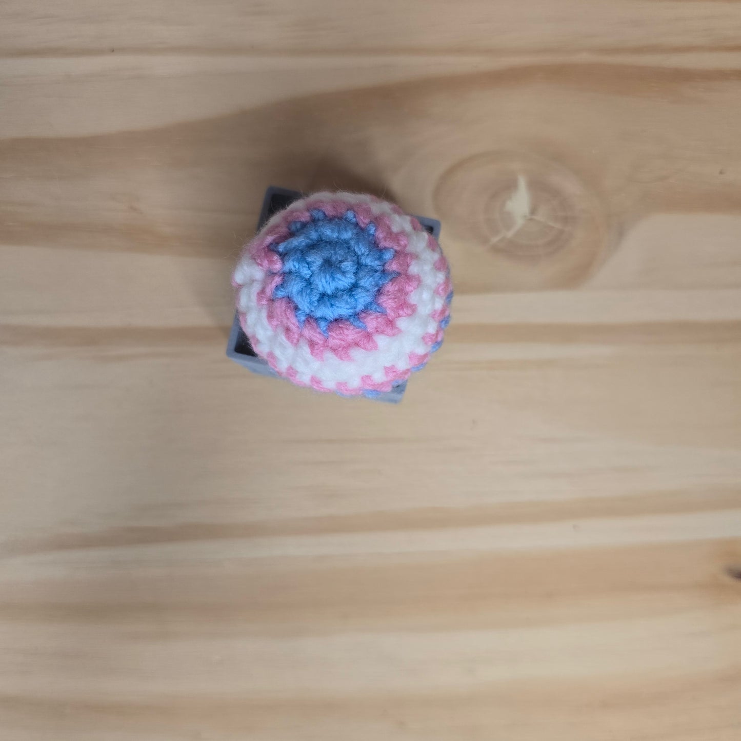 Mini Pride Mushroom Pop