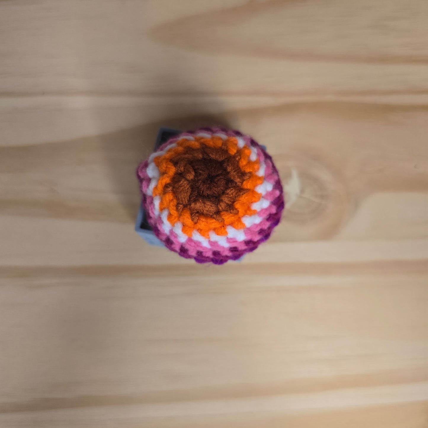 Mini Pride Mushroom Pop