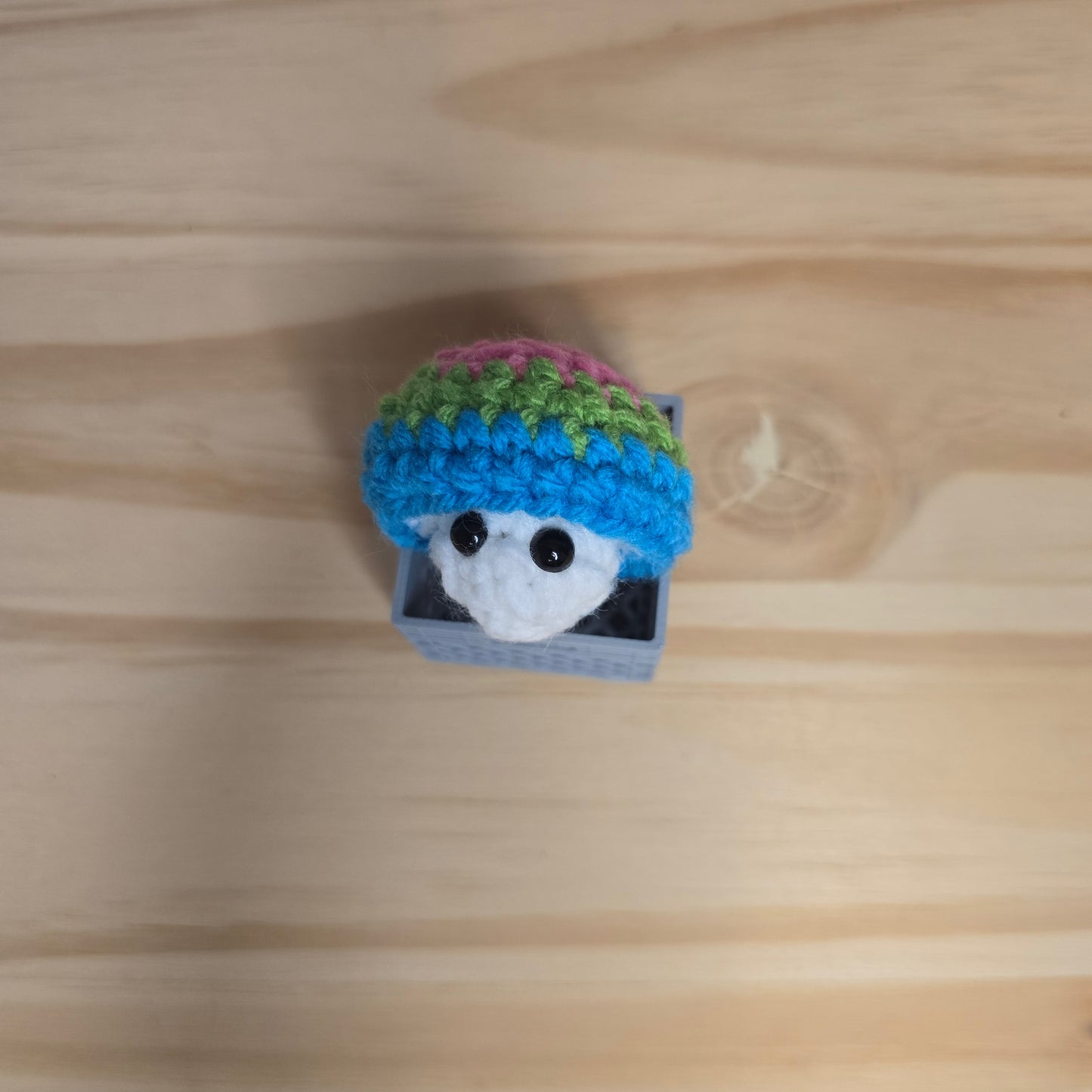 Mini Pride Mushroom Pop