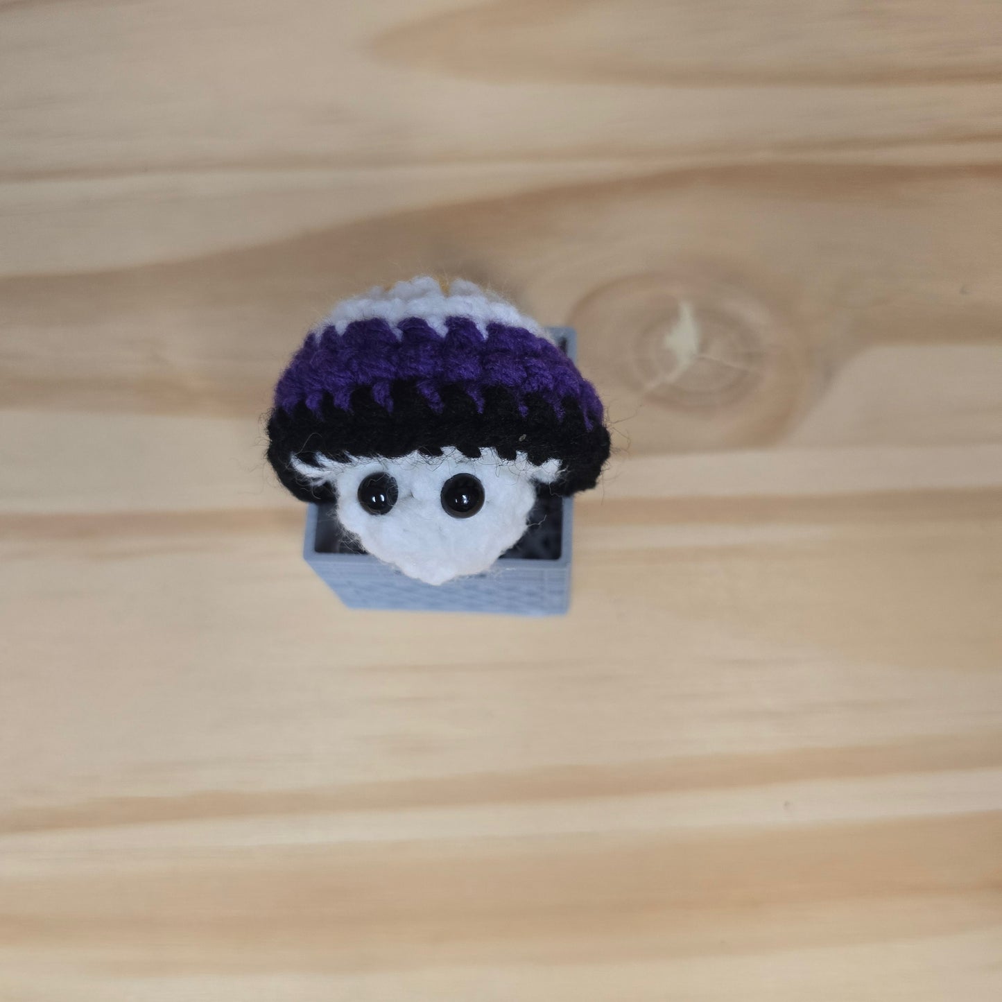 Mini Pride Mushroom Pop