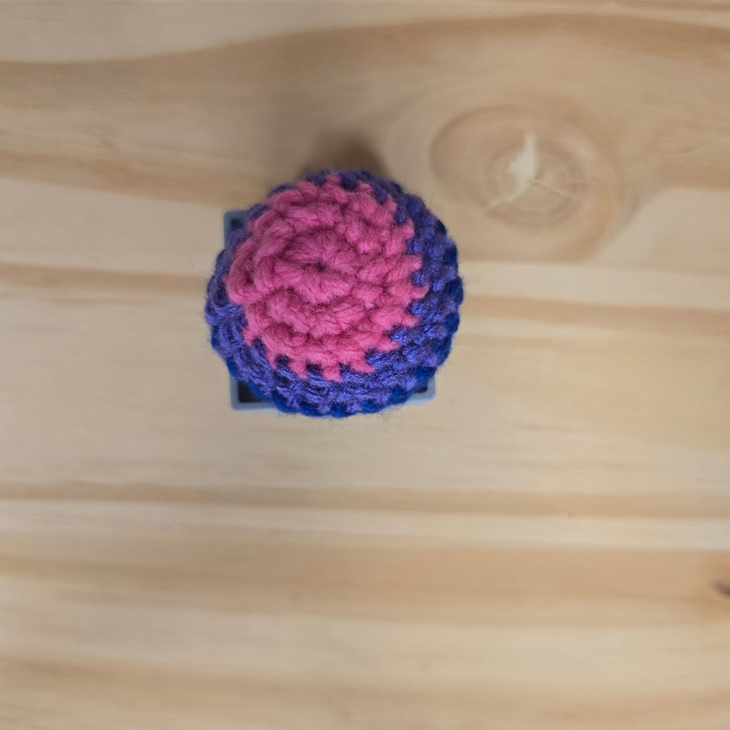 Mini Pride Mushroom Pop