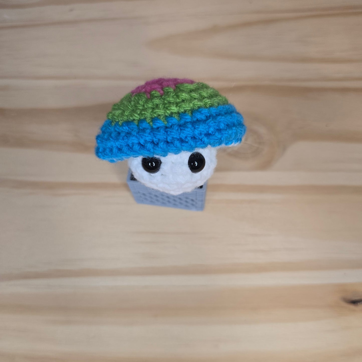 Pride Mushroom Pop