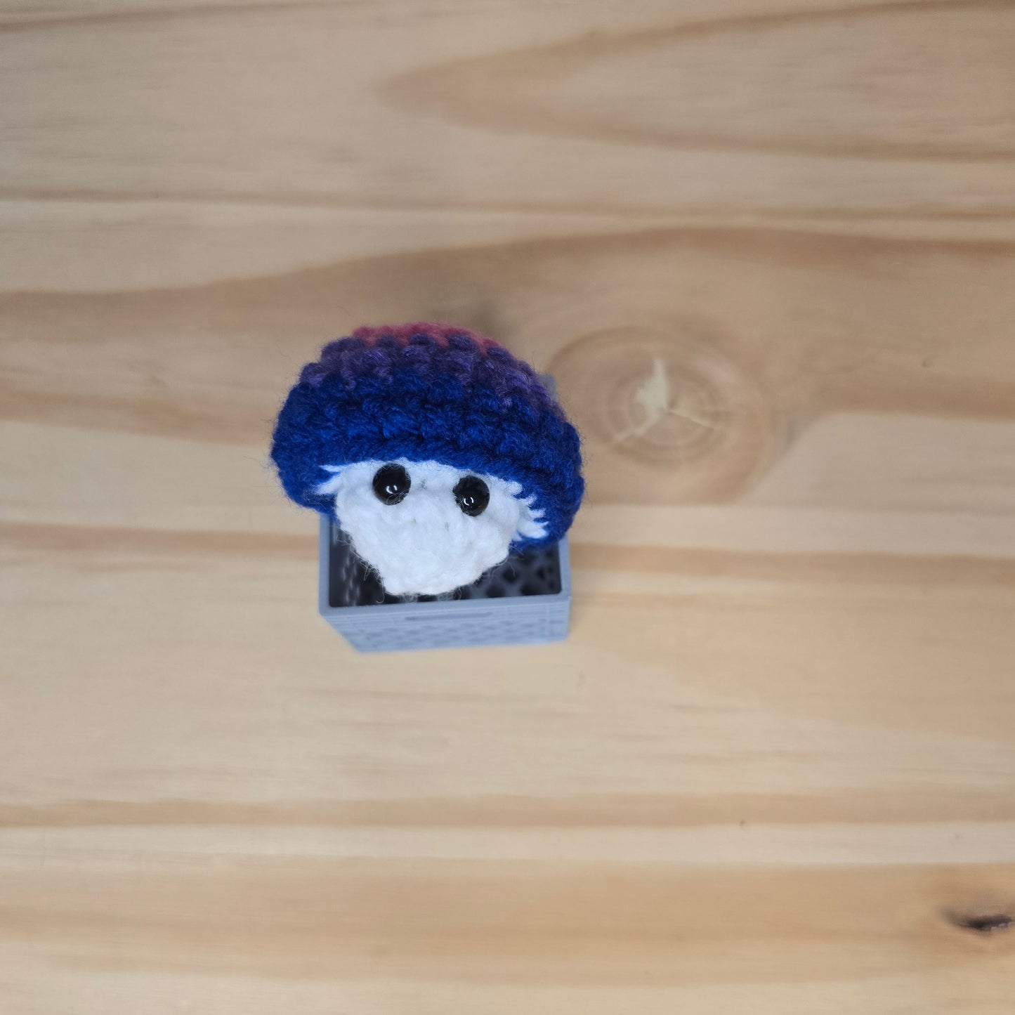Mini Pride Mushroom Pop